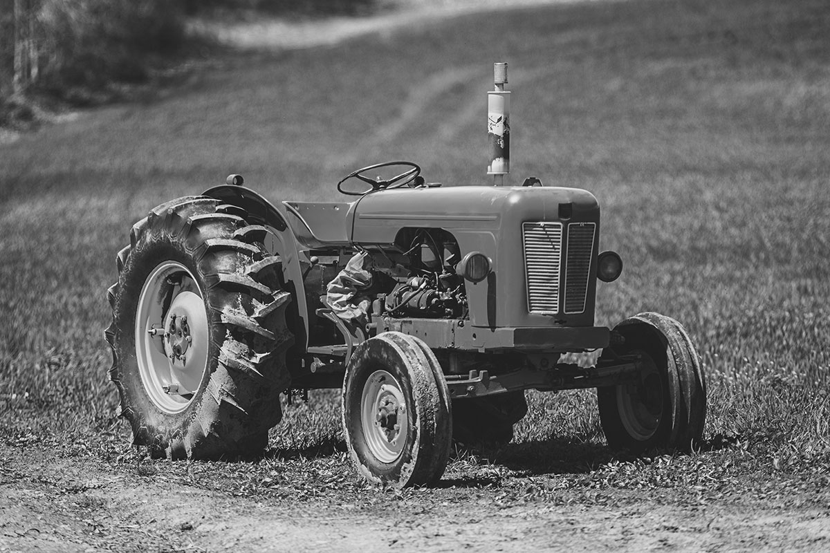 Sidiropoulos tracter strawberries