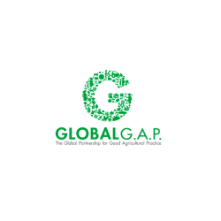 Untitled design (32)