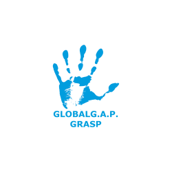 Untitled design (36)